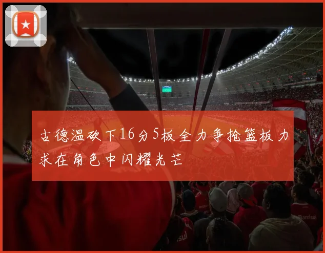 古德温砍下16分5板全力争抢篮板力求在角色中闪耀光芒