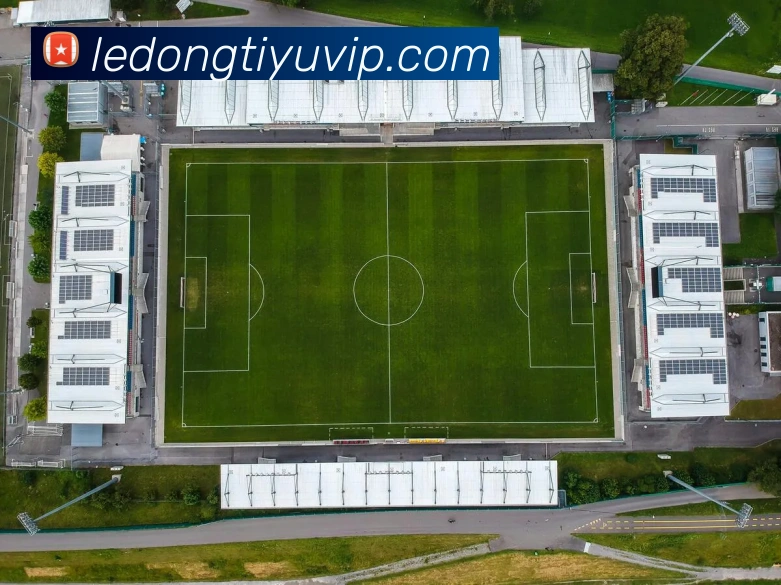 乐动体育发展历程