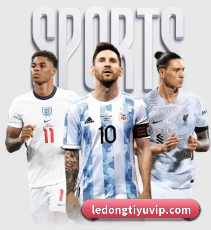 每个板块围绕一个运动项目展开 | LDSPORTS